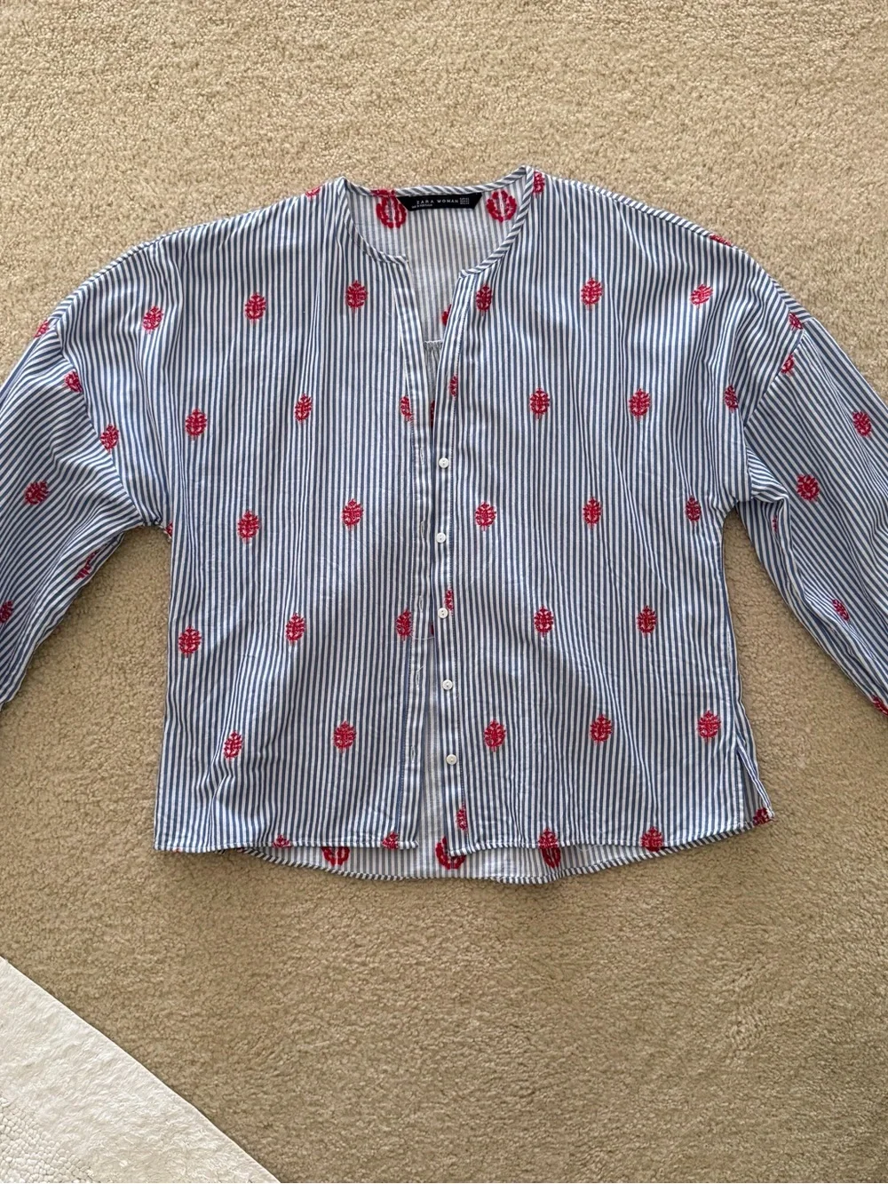 Zara Blue & White Striped Puff Sleeve Blouse with Red Embroidery - Size XS